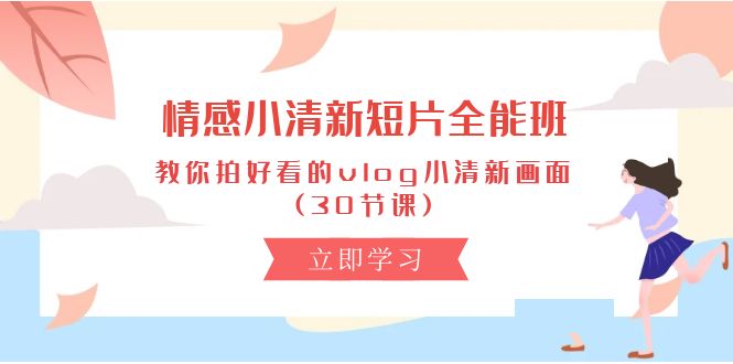（10567期）情感 小清新短片-全能班，教你拍好看的vlog小清新画面 (30节课)-凌秋网创