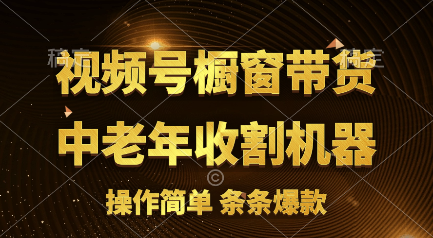 （11009期）[你的孩子成功取得高位]视频号最火爆赛道，橱窗带货，流量分成计划，条…-凌秋网创