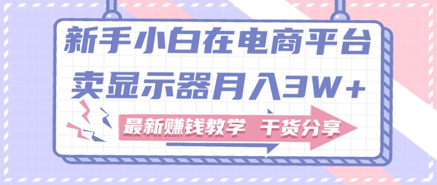 （11053期）新手小白如何做到在电商平台卖显示器月入3W+，最新赚钱教学干货分享-凌秋网创
