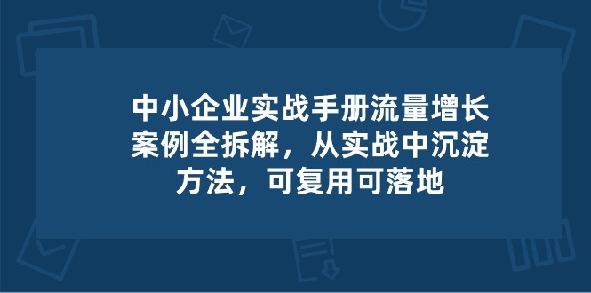 （10889期）中小 企业 实操手册-流量增长案例拆解，从实操中沉淀方法，可复用可落地-凌秋网创