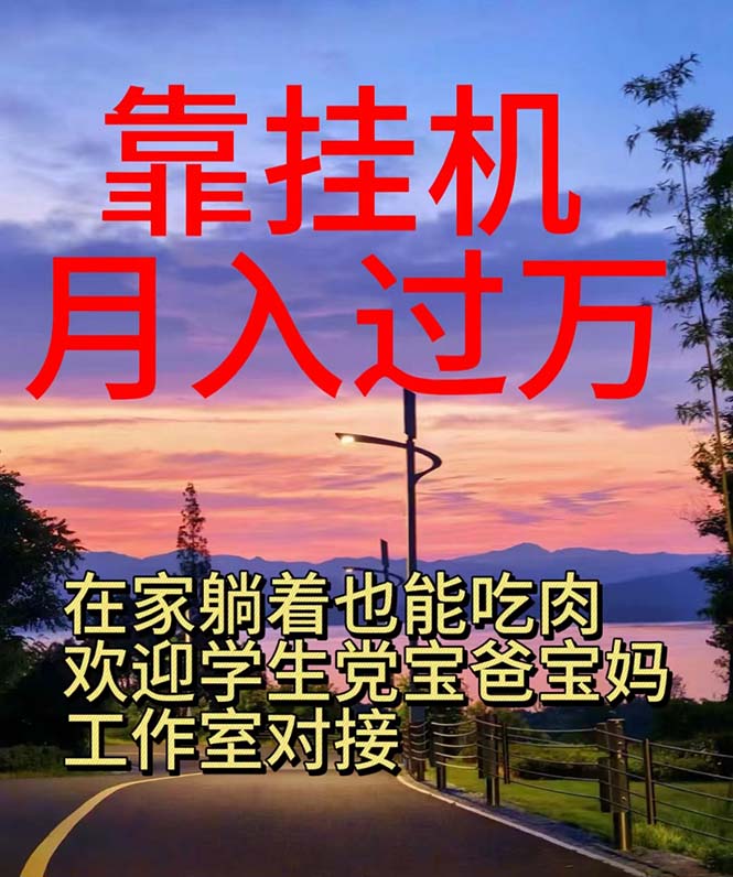 （10838期）靠挂机，日入1000+，躺着也能吃肉，适合宝爸宝妈学生党工作室，电脑手…-凌秋网创