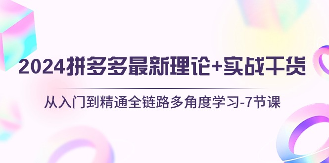 （10816期）2024拼多多 最新理论+实战干货，从入门到精通全链路多角度学习-7节课-凌秋网创