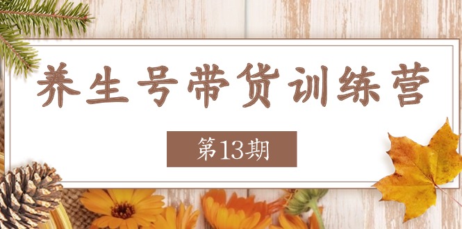 （11275期）养生号-带货训练营【第13期】收益更稳定的玩法，让你带货收益爆炸-凌秋网创