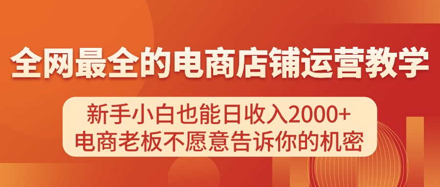 （11266期）电商店铺运营教学，新手小白也能日收入2000+，电商老板不愿意告诉你的机密-凌秋网创