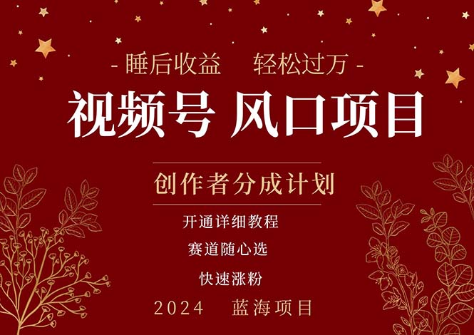 （11331期）拥有睡眠收益的微信视频号大风口项目，轻松月入过万+，多赛道选择，可…-凌秋网创