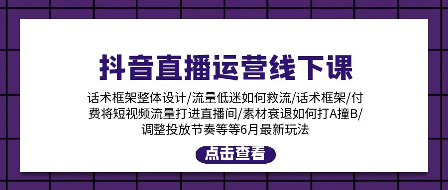 （11211期）抖音直播运营线下课：话术框架/付费流量直播间/素材A撞B/等6月新玩法-凌秋网创