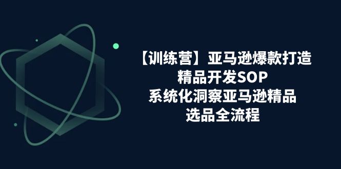 （11210期）【训练营】亚马逊爆款打造之精品开发SOP，系统化洞察亚马逊精品选品全流程-凌秋网创