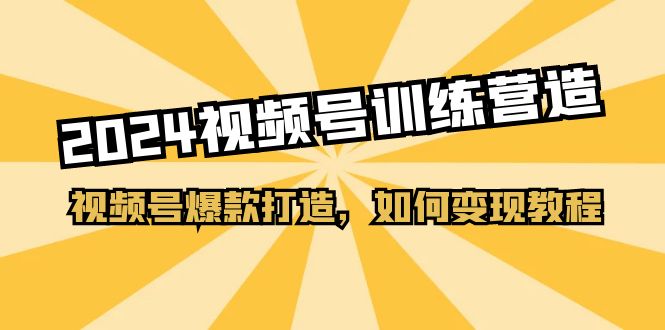 （11135期）2024视频号训练营，视频号爆款打造，如何变现教程（20节课）-凌秋网创