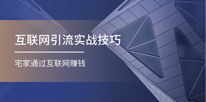 （11108期）互联网引流实操技巧(适合微商，吸引宝妈)，宅家通过互联网赚钱（17节）-凌秋网创
