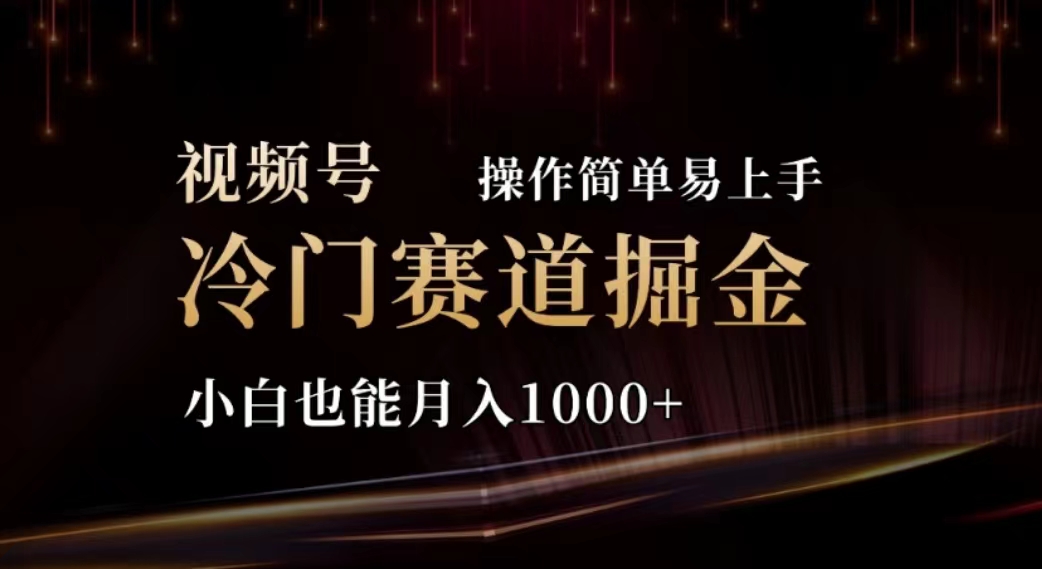 （11378期）2024视频号冷门赛道掘金，操作简单轻松上手，小白也能月入1000+-凌秋网创