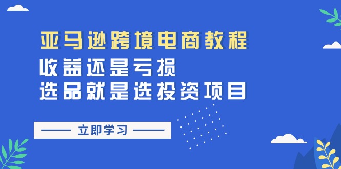 （11432期）亚马逊跨境电商教程：收益还是亏损！选品就是选投资项目-凌秋网创