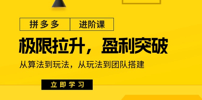 （11435期）拼多多·进阶课：极限拉升/盈利突破：从算法到玩法 从玩法到团队搭建-18节-凌秋网创