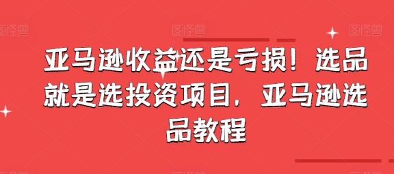 亚马逊收益还是亏损！选品就是选投资项目，亚马逊选品教程-凌秋网创