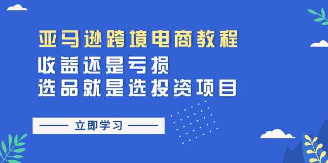 亚马逊跨境电商教程：收益还是亏损！选品就是选投资项目-凌秋网创