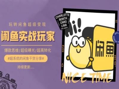 手把手教你0到1系统玩转闲鱼变现，爆款思维/超级曝光/超高转化-凌秋网创