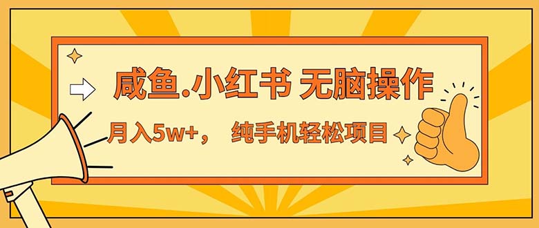 （11524期）2024最赚钱的项目，咸鱼，小红书无脑操作，每单利润500+，轻松月入5万+…-凌秋网创