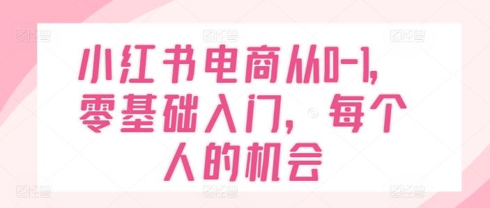 小红书电商从0-1，零基础入门，每个人的机会-凌秋网创
