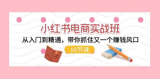 （11533期）小红书电商实战班，从入门到精通，带你抓住又一个赚钱风口（16节）-凌秋网创