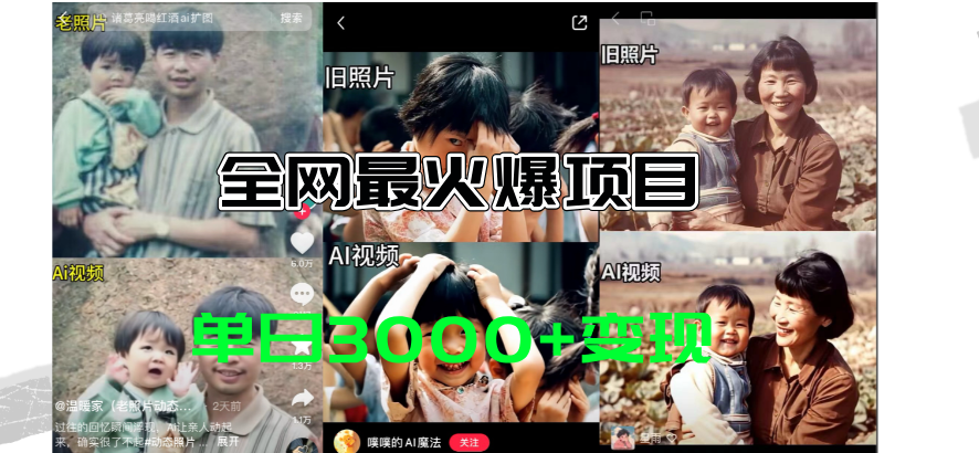 （11546期）全网爆火的AI让老照片动起来教程，蹭热点日赚3000+，内含免费工具一键…-凌秋网创
