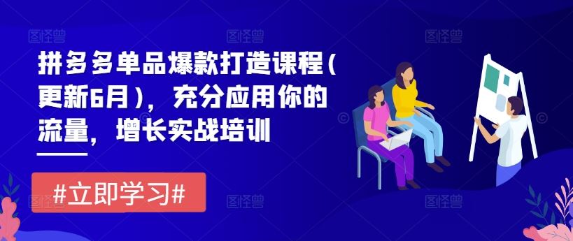 拼多多单品爆款打造课程(更新6月)，充分应用你的流量，增长实战培训-凌秋网创