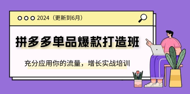 （11556期）2024拼多多-单品爆款打造班(更新6月)，充分应用你的流量，增长实战培训-凌秋网创