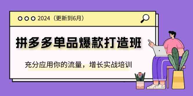 2024拼多多单品爆款打造班，充分应用你的流量，增长实战培训(更新6月)-凌秋网创