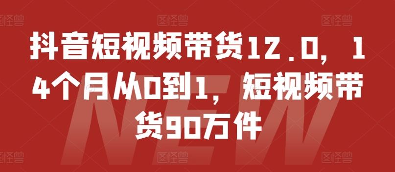 抖音短视频带货12.0，14个月从0到1，短视频带货90万件-凌秋网创