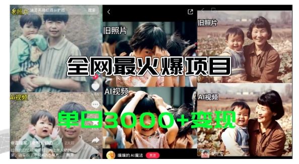 全网爆火的AI让老照片动起来教程，蹭热点日赚3k+，内含免费工具一键可生成【揭秘】-凌秋网创