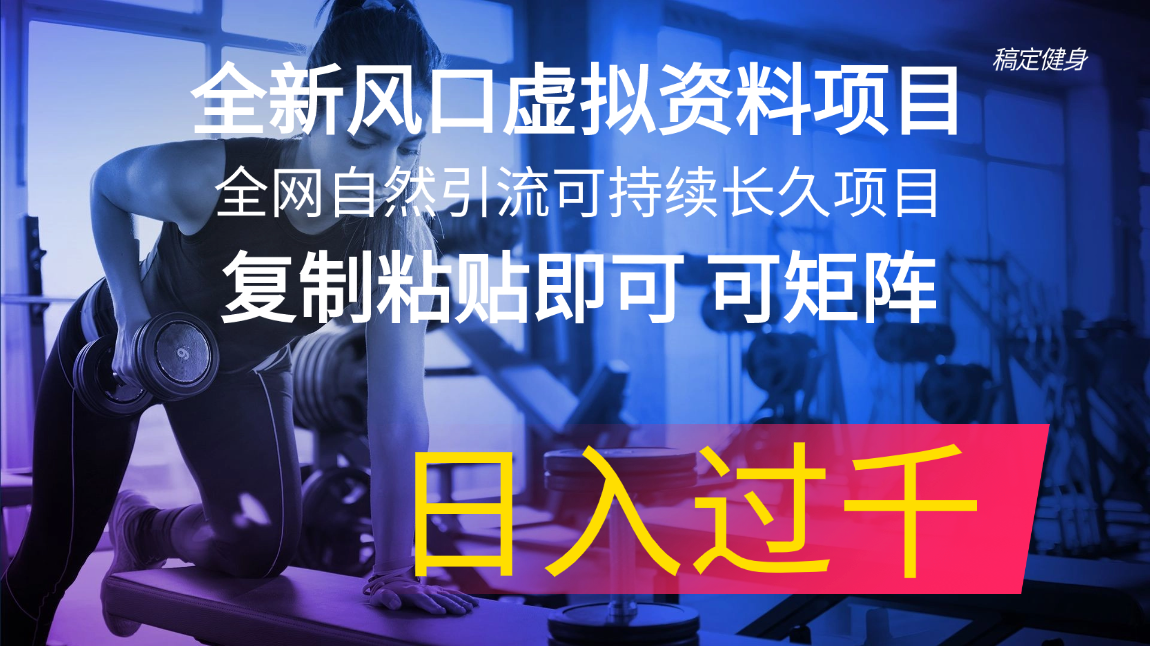 （11587期）全新风口虚拟资料项目 全网自然引流可持续长久项目 复制粘贴即可可矩阵…-凌秋网创