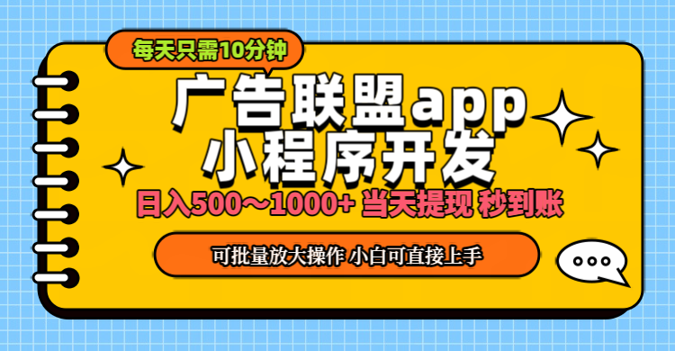 （11645期）小程序开发 广告赚钱 日入500~1000+ 小白轻松上手！-凌秋网创