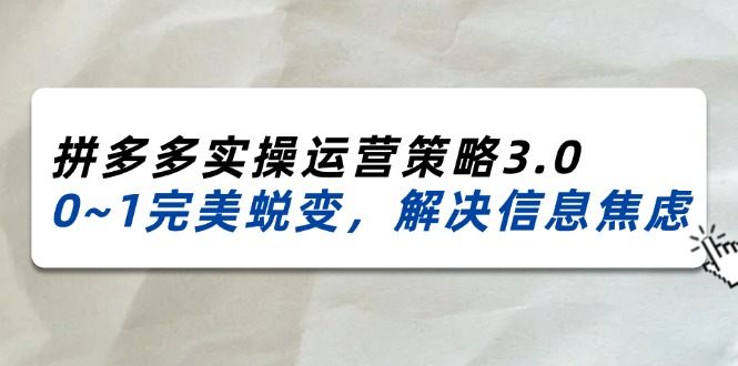 （11658期）2024_2025拼多多实操运营策略3.0，0~1完美蜕变，解决信息焦虑（38节）-凌秋网创