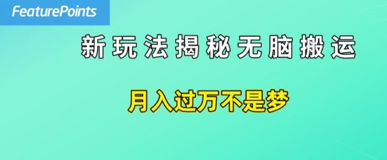 简单操作，每天50美元收入，搬运就是赚钱的秘诀【揭秘】-凌秋网创