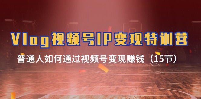 Vlog视频号IP变现特训营，普通人如何通过视频号变现赚钱（15节）-凌秋网创
