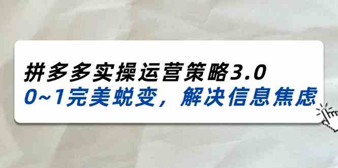 2024-2025拼多多实操运营策略3.0，0~1完美蜕变，解决信息焦虑（38节）-凌秋网创