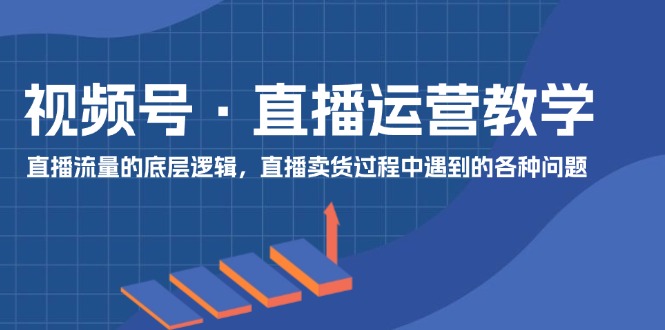 （11687期）视频号 直播运营教学：直播流量的底层逻辑，直播卖货过程中遇到的各种问题-凌秋网创