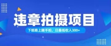 （11698期）随手拍也能赚钱？对的日入300+-凌秋网创