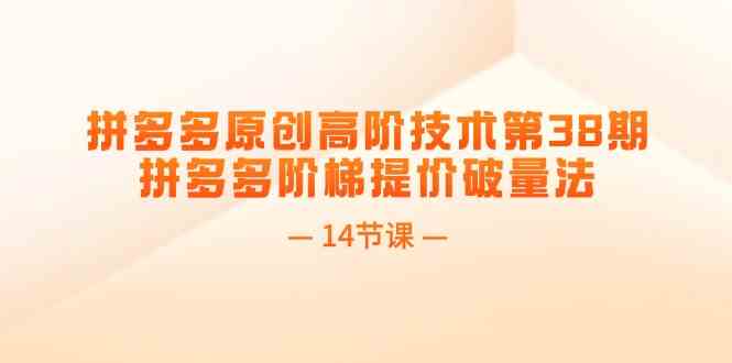 拼多多原创高阶技术第38期，拼多多阶梯提价破量法（14节课）-凌秋网创