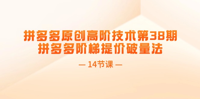 （11704期）拼多多原创高阶技术第38期，拼多多阶梯提价破量法（14节课）-凌秋网创