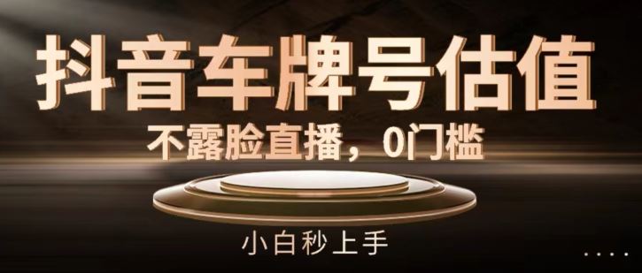 抖音车牌号估值，不露脸直播，0门槛，小白秒上手【揭秘】-凌秋网创