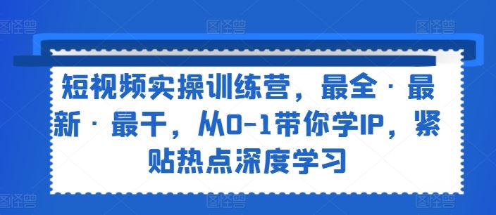 短视频实操训练营，最全·最新·最干，从0-1带你学IP，紧贴热点深度学习-凌秋网创