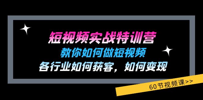 短视频实战特训营：教你如何做短视频，各行业如何获客，如何变现 (60节)-凌秋网创