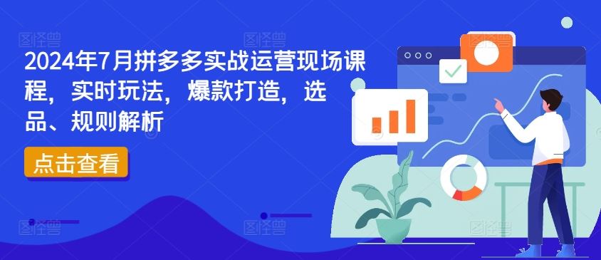 2024年7月拼多多实战运营现场课程，实时玩法，爆款打造，选品、规则解析-凌秋网创