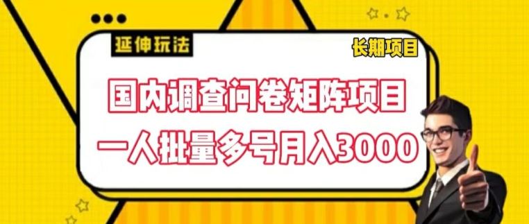 国内调查问卷矩阵项目，一人批量多号月入3000【揭秘】-凌秋网创