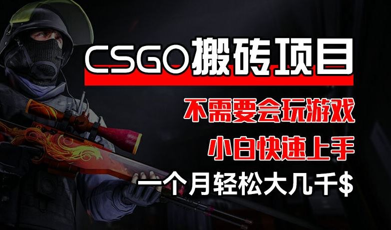 CSGO 装备搬砖项目，操作简单，不需要会玩游戏，小白也能快速上手，一个月轻松大几千【揭秘】-凌秋网创