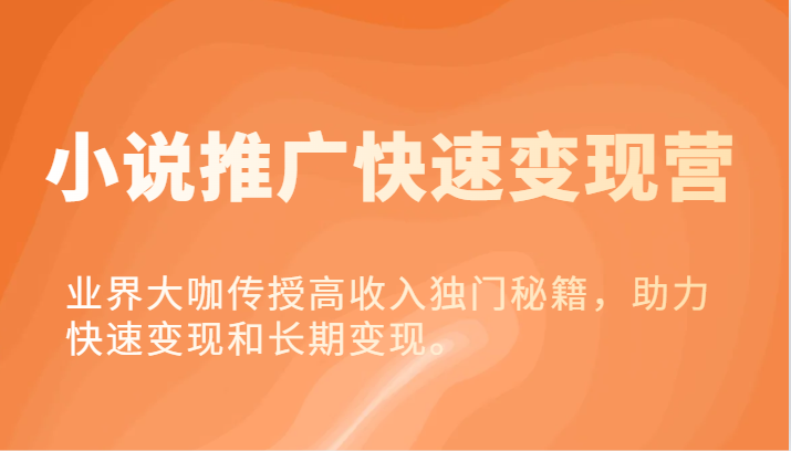 小说推广快速变现营-业界大咖传授高收入独门秘籍，助力快速变现和长期变现。-凌秋网创