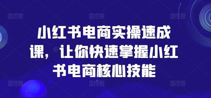 小红书电商实操速成课，让你快速掌握小红书电商核心技能-凌秋网创