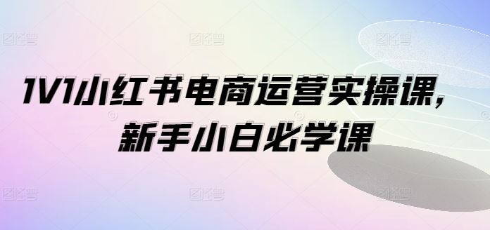 1V1小红书电商运营实操课，新手小白必学课-凌秋网创
