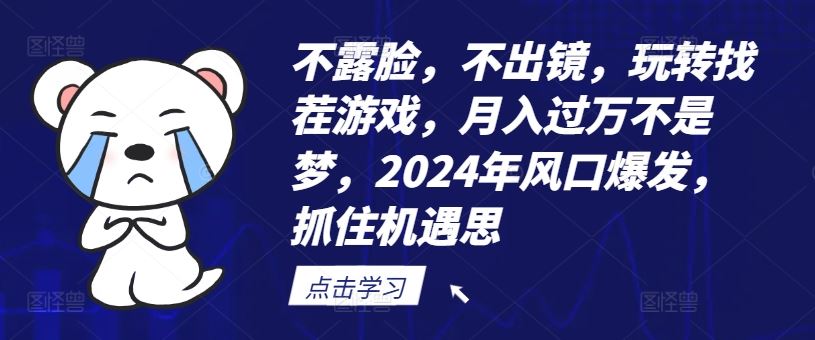 不露脸，不出镜，玩转找茬游戏，月入过万不是梦，2024年风口爆发，抓住机遇【揭秘】-凌秋网创