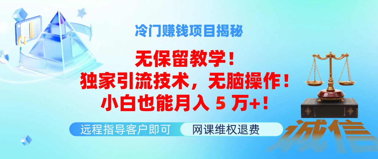 （11864期）冷门赚钱项目无保留教学！独家引流技术，无脑操作！小白也能月入5万+！-凌秋网创