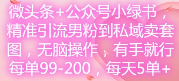 微头条+公众号小绿书，精准引流男粉到私域卖套图，无脑操作，有手就行，每单99-200，每天5单-凌秋网创